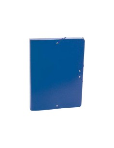 CARP. PROYECTOS FABRISA 30MM GOFRADA Fº AZ